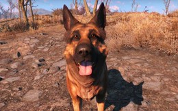 Top 10 chú chó tuyệt vời nhất trong thế giới game