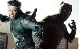 Phản biện: Wolverine sọ sức với Black Panther, 5 lý do Người Sói sẽ giành chiến thắng trong trận đấu tay đôi