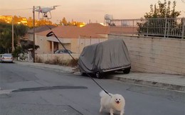 Cái khó ló cái khôn: Anh thanh niên dùng drone dắt chó đi dạo để tránh Covid-19