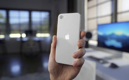 iPhone SE 2020 mới ra, giật mình với giá của một sản phẩm của Apple