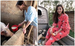 Khoe nhẹ bức ảnh đang cho lợn ăn, nàng hot girl nhận cả rổ gạch đá từ phía cộng đồng mạng