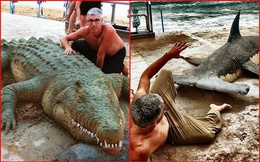 Đưa dàn "thú cưng" ra bãi biển tắm nắng, nghệ sĩ tài hoa khiến dân tình trầm trồ