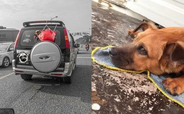 Hình ảnh chú chó bị chủ bỏ trong chiếc giỏ đi chợ rồi treo lủng lẳng sau xe ô tô khi đang chạy trên đường khiến dân mạng tranh cãi kịch liệt