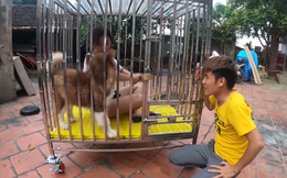 Nhốt em gái vào chuồng chó, con trai bà Tân Vlog lại gây nên những tranh cãi không hồi kết