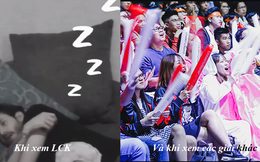 LCK bị giải Mỹ Latin cà khịa là 'buồn ngủ' khiến cộng đồng tranh cãi - Người đồng tình, kẻ phản pháo