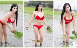 Mặc bikini đi trồng lúa, bón phân, cô nàng hot girl nhận muôn vàn chỉ trích từ phía cộng đồng mạng