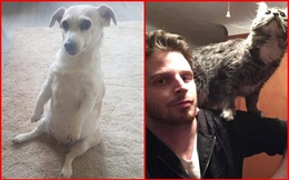 Những biểu cảm kỳ lạ của thú cưng khiến chủ nhân giật mình vì tưởng ai đó nhập