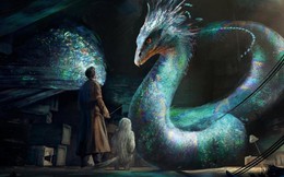Harry Potter: Top 5 loại "thú cưng" mà các phù thủy không nên nuôi