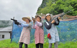 Ba cụ bà Nhật Bản lập nhóm vũ trang, dùng súng hơi quyết "khô máu" với băng cướp khỉ núi
