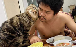 Trải lòng của người vợ bị cắm sừng: "Tiểu tam" mèo đã cướp chồng tôi trắng trợn như thế nào