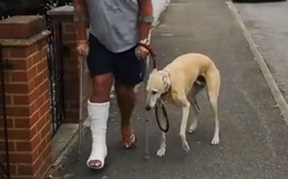 Mất hơn 8 triệu để đưa chó đi bác sỹ thú y, ai ngờ nó chỉ giả vờ què để bắt chước ông chủ bị gãy chân