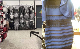 5 tấm hình từng khiến cư dân mạng "phát lú" cực mạnh giống như chiếc váy xanh đen - vàng trắng năm nào