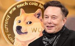 Elon Musk nói 1 câu, Dogecoin bay tung nóc, vốn hóa tăng 8 tỷ USD