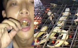 Làm hẳn clip “mukbang” thạch sùng để câu view, nhà sáng tạo nghèo nàn “content” đến thế sao?