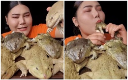 Làm clip ăn Mukbang trên sóng, nữ streamer khiến người xem khiếp sợ, chuyển kênh khi ăn ếch luộc nguyên con