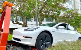 Trường ĐH ở Sài Gòn chơi lớn chi tiền tỷ mua xe ô tô điện Tesla của Elon Musk về cho sinh viên thực hành
