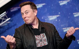 Elon Musk: "Đại học cơ bản chỉ để cho vui chứ không phải để học"