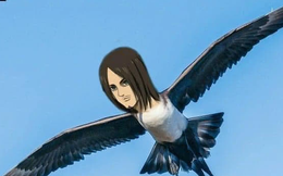 Các fan Attack On Titan cho rằng "Mikasa bên cạnh con chim lớn chỉ khiến cô thêm nhớ Eren mà thôi"