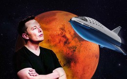 Elon Musk tự xưng mình là "Hoàng đế sao Hỏa"