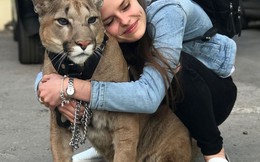 Chán nuôi mèo bình thường, cặp đôi người Nga quyết định nuôi hẳn sư tử núi trong nhà làm thú cưng