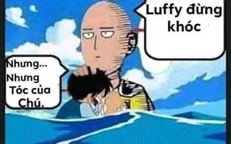 One Piece: Top 5 ảnh chế hot nhất trong tuần, khi Saitama cứu Luffy và Sanji đã làm gì với kiếm của Zoro?