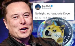 Bạn gái bảo Elon Musk hay "trẻ trâu" trên MXH, dân tình rần rần phản đối, hài hước bảo rằng cứ nhìn giá Bitcoin là biết