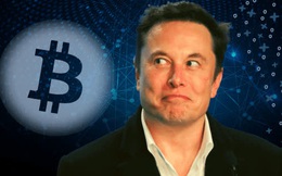 Người dùng Twitter phát hiện ra Elon Musk mua vào 10 nghìn Bitcoin ngay lúc ra tweet "dìm giá"
