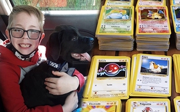 Bán bộ thẻ bài Pokémon, cậu bé 8 tuổi “hùn” hơn 16 triệu đồng để chữa bệnh cho thú cưng