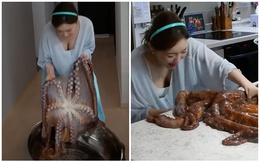 Được fan donate bạch tuộc sống nặng 10kg, nữ YouTuber Mukbang khóc thét, hoảng hồn khi chế biến và thành phẩm sau cùng khiến ai cũng bất ngờ