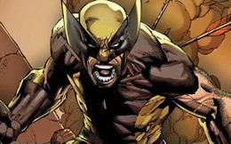 Mức độ nguy hiểm và những câu hỏi "fan nào cũng thắc mắc" liên quan đến Wolverine