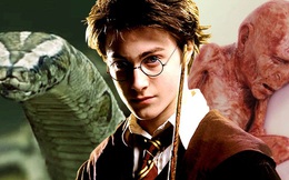 Tiết lộ lý do cực đen tối khiến Harry Potter bị cả nhà Dursley hành hạ: Bằng chứng được sắp đặt từ tập 1 mà không ai phát hiện?