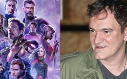 "Quái kiệt Hollywood" Quentin Tarantino: "Diễn viên Marvel không phải ngôi sao điện ảnh"