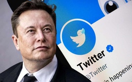 Elon Musk sắp bán thêm "tick vàng" trên Twitter