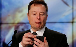 Elon Musk lại tiếp tục làm phép, đăng status vu vơ cũng giúp game NFT Việt tăng gấp đôi giá