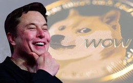 Elon Musk tuyến bố vẫn đang nắm giữ lượng lớn Bitcoin, Dogecoin