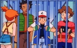 Đem hết tiền trợ cấp đi đấu giá thẻ bài Pokémon, người đàn ông được "tặng kèm" gói đi tù 3 năm