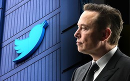 Elon Musk từ chối tham gia hội đồng quản trị Twitter, hóa ra bỏ 3 tỷ đô mua cổ phần chỉ để “cho vui”