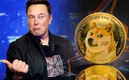 Quyết "phù phép", sống mái với Dogecoin, Elon Musk đề xuất dùng đồng token này để trả dịch vụ Twitter, giá lại lên "phi mã"