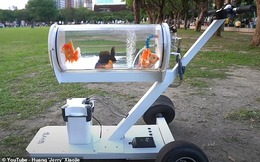 YouTuber thiết kế bể cá di động để có thể dắt những con cá vàng cưng của mình đi dạo