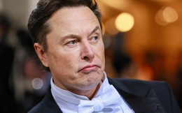 Con của tỷ phú Elon Musk nộp đơn xin xóa quan hệ huyết thống với cha