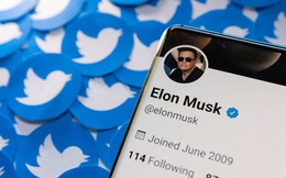 Thương vụ Elon Musk mua Twitter tiếp tục bế tắc