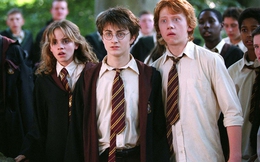 Cái kết thật của dàn nhân vật Harry Potter, chỉ xem phim thôi thì không bao giờ biết được