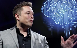 Những điều cần biết về dự án 'cấy chip não' của Elon Musk