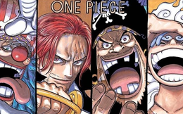 4 lý do khiến Luffy trở thành 'một mẩu' của Tứ Hoàng trong One Piece 