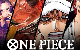 Những chiếc thẻ bo góc One Piece đắt giá nhất thế giới 