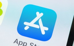 Hơn 8.000 ứng dụng Việt Nam trên App Store bị Apple gỡ bỏ