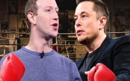 Trận đấu giữa Elon Musk và Mark Zuckerberg sẽ được phát trực tiếp trên 'nền tảng X'