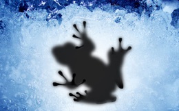 DOTA 2 Hư cấu: IceFrog – Tướng sắp ra mắt của cộng đồng mạng DOTA 2