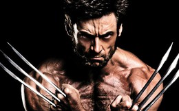 Sự thật về dị nhân Wolverine - Anh ấy là "Người Chồn", đừng gọi anh ấy là Người Sói nữa!!!