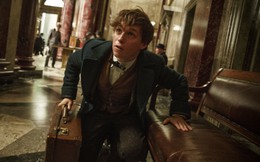 Hé lộ clip hậu trường của Fantastic Beast And Where To Find Them